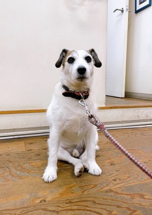 IMG-2700